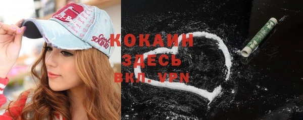 крисы Краснослободск